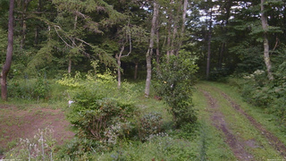 長野県菅平高原 ゆたか山荘 坂上 2026/08/21 16:15