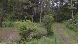 長野県菅平高原 ゆたか山荘 坂上 2026/08/21 16:30