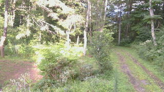 長野県菅平高原 ゆたか山荘 坂上 2026/08/21 16:45