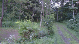 長野県菅平高原 ゆたか山荘 坂上 2026/08/21 17:00