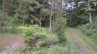 長野県菅平高原 ゆたか山荘 坂上 2026/08/21 17:15