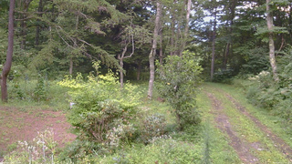 長野県菅平高原 ゆたか山荘 坂上 2026/08/21 17:30