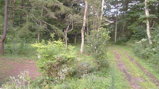 長野県菅平高原 ゆたか山荘 坂上 2026/08/21 17:45
