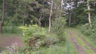 長野県菅平高原 ゆたか山荘 坂上 2026/08/21 18:00
