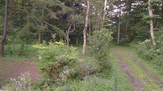 長野県菅平高原 ゆたか山荘 坂上 2026/08/21 18:15