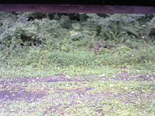 長野県菅平高原 ゆたか山荘 東側(坂下) 2026/08/22 08:15