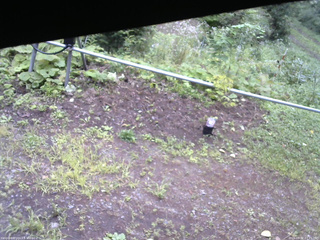 長野県菅平高原 ゆたか山荘 駐車場 2026/08/22 07:15