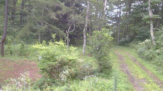 長野県菅平高原 ゆたか山荘 坂上 2026/08/22 05:30