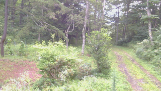 長野県菅平高原 ゆたか山荘 坂上 2026/08/22 06:00