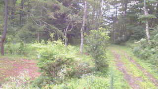 長野県菅平高原 ゆたか山荘 坂上 2026/08/22 06:15