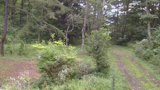 長野県菅平高原 ゆたか山荘 坂上 2026/08/22 07:30