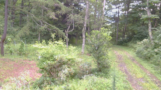 長野県菅平高原 ゆたか山荘 坂上 2026/08/22 07:45