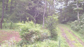 長野県菅平高原 ゆたか山荘 坂上 2026/08/22 08:00