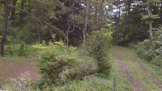 長野県菅平高原 ゆたか山荘 坂上 2026/08/22 08:45