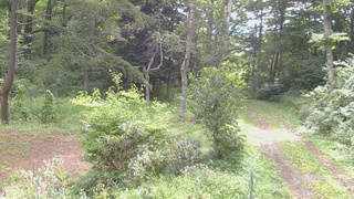 長野県菅平高原 ゆたか山荘 坂上 2026/08/22 09:00