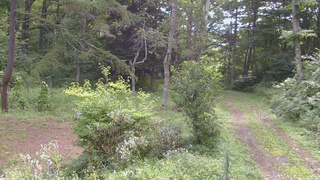 長野県菅平高原 ゆたか山荘 坂上 2026/08/22 09:15