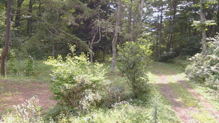 長野県菅平高原 ゆたか山荘 坂上 2026/08/22 09:30