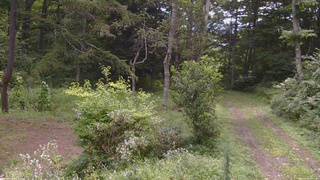 長野県菅平高原 ゆたか山荘 坂上 2026/08/22 09:45