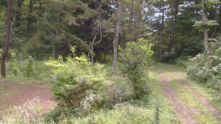 長野県菅平高原 ゆたか山荘 坂上 2026/08/22 10:00