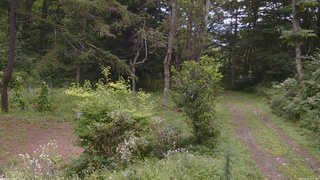 長野県菅平高原 ゆたか山荘 坂上 2026/08/22 10:15