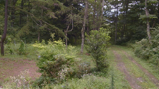 長野県菅平高原 ゆたか山荘 坂上 2026/08/22 10:30