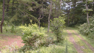 長野県菅平高原 ゆたか山荘 坂上 2026/08/22 10:45