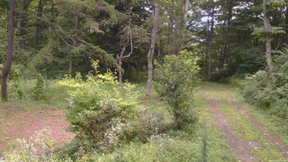 長野県菅平高原 ゆたか山荘 坂上 2026/08/22 11:00