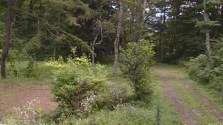 長野県菅平高原 ゆたか山荘 坂上 2026/08/22 11:15