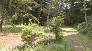 長野県菅平高原 ゆたか山荘 坂上 2026/08/22 11:30