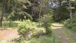 長野県菅平高原 ゆたか山荘 坂上 2026/08/22 11:45