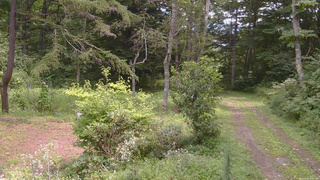 長野県菅平高原 ゆたか山荘 坂上 2026/08/22 12:00