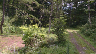 長野県菅平高原 ゆたか山荘 坂上 2026/08/22 12:15