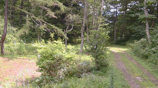 長野県菅平高原 ゆたか山荘 坂上 2026/08/22 12:30