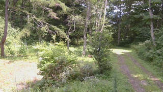 長野県菅平高原 ゆたか山荘 坂上 2026/08/22 12:45