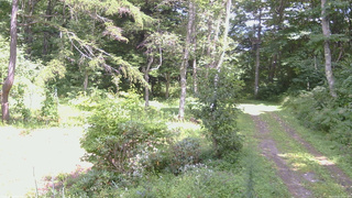 長野県菅平高原 ゆたか山荘 坂上 2026/08/22 13:00