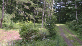 長野県菅平高原 ゆたか山荘 坂上 2026/08/22 13:15