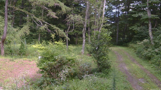 長野県菅平高原 ゆたか山荘 坂上 2026/08/22 13:30