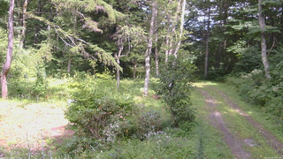 長野県菅平高原 ゆたか山荘 坂上 2026/08/22 13:45
