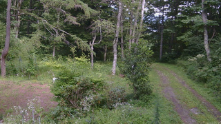長野県菅平高原 ゆたか山荘 坂上 2026/08/22 14:15
