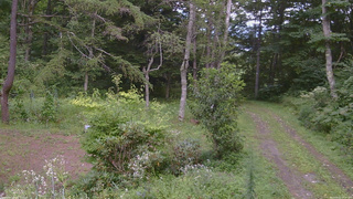 長野県菅平高原 ゆたか山荘 坂上 2026/08/22 14:30