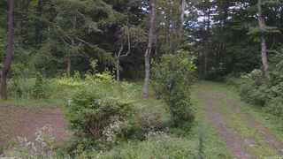 長野県菅平高原 ゆたか山荘 坂上 2026/08/22 14:45