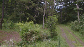 長野県菅平高原 ゆたか山荘 坂上 2026/08/22 15:00