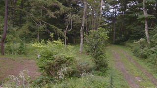 長野県菅平高原 ゆたか山荘 坂上 2026/08/22 15:15