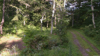 長野県菅平高原 ゆたか山荘 坂上 2026/08/22 15:45