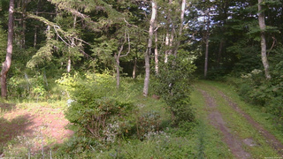 長野県菅平高原 ゆたか山荘 坂上 2026/08/22 16:00