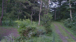 長野県菅平高原 ゆたか山荘 坂上 2026/08/22 17:00