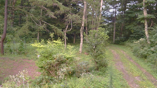長野県菅平高原 ゆたか山荘 坂上 2026/08/22 17:45