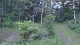長野県菅平高原 ゆたか山荘 坂上 2026/08/22 18:15