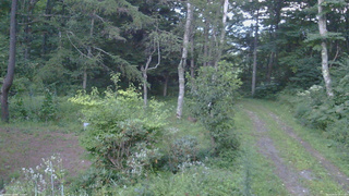 長野県菅平高原 ゆたか山荘 坂上 2026/08/22 18:30