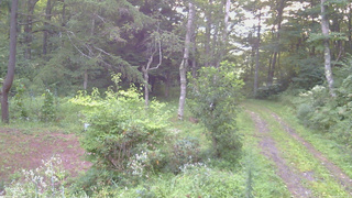 長野県菅平高原 ゆたか山荘 坂上 2026/08/23 05:30